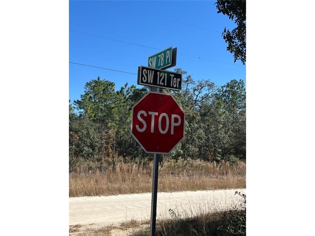 SW 121 Terrace Road Dunnellon FL 34432 O6361048 image4