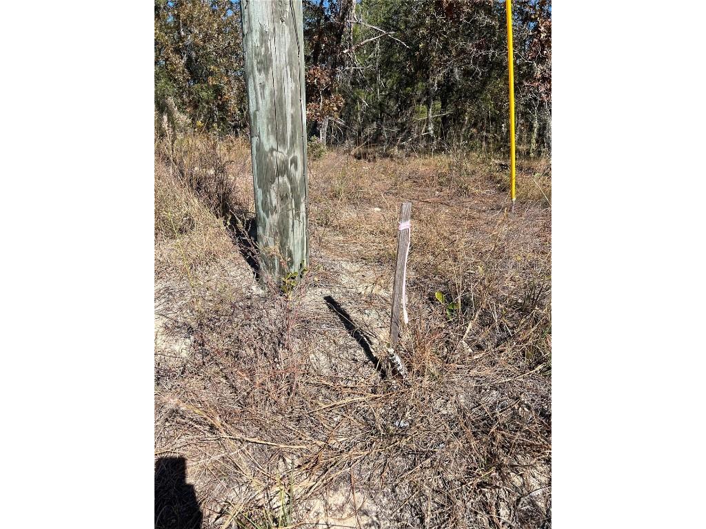 SW 121 Terrace Road Dunnellon FL 34432 O6361048 image5