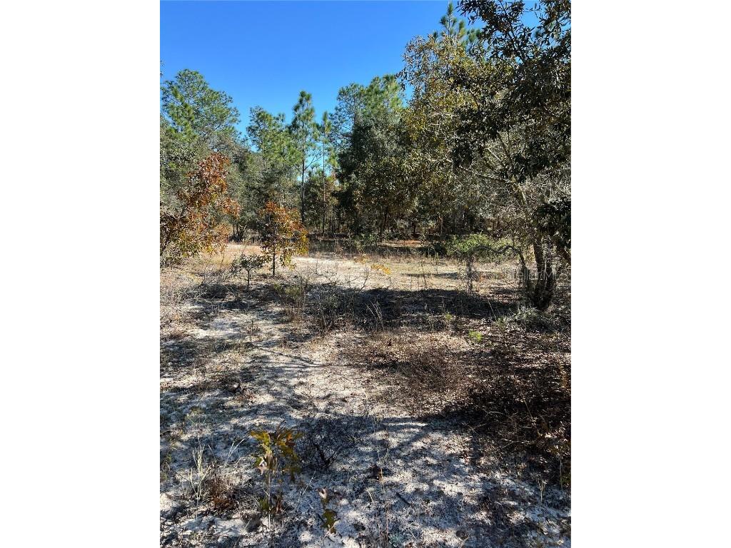 SW 121 Terrace Road Dunnellon FL 34432 O6361048 image6