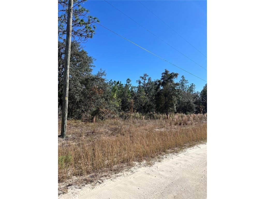 SW 121 Terrace Road Dunnellon FL 34432 O6361048 image7