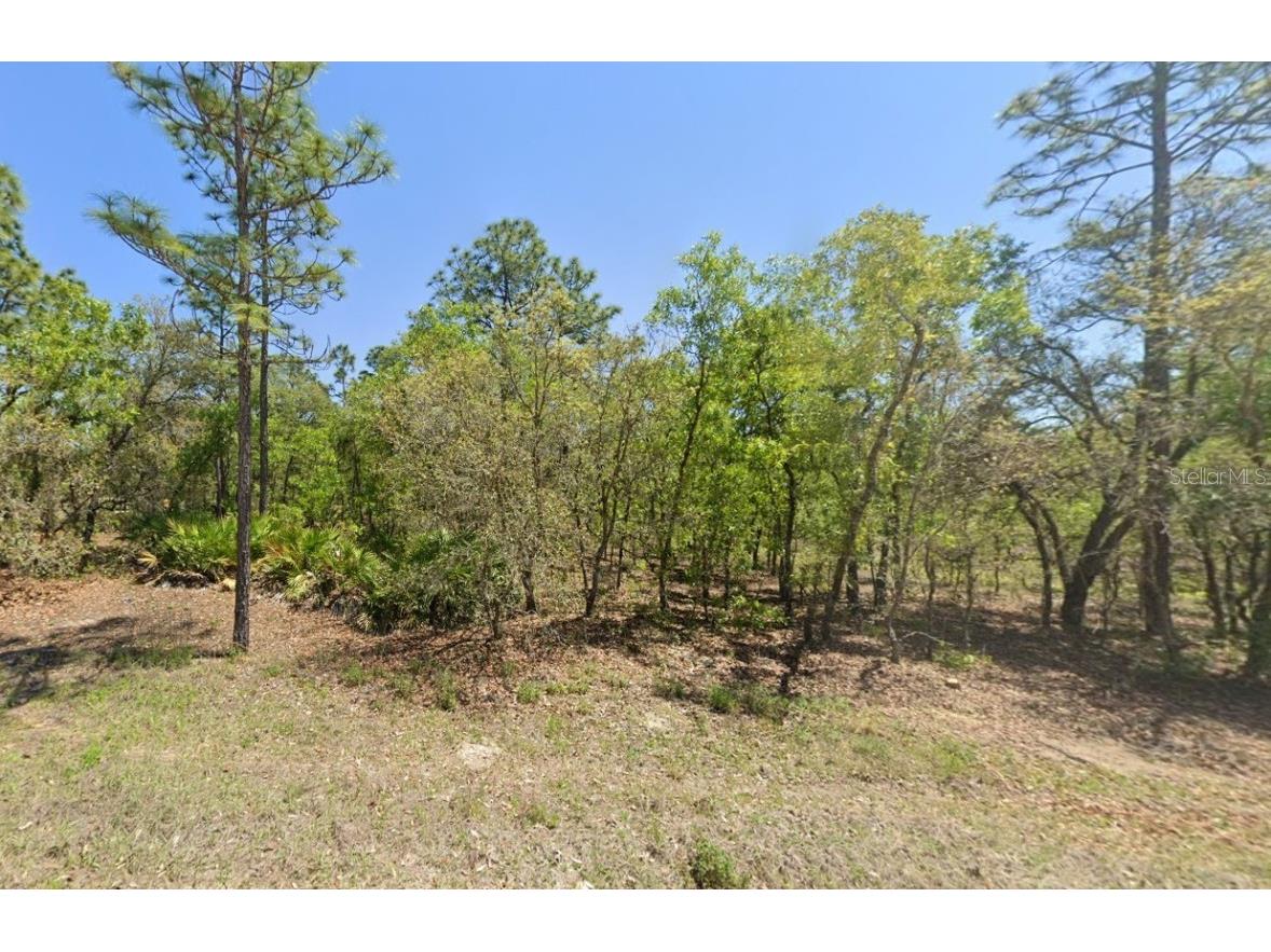 SW 125 Terrace Dunnellon FL 34432 U8245762 image1