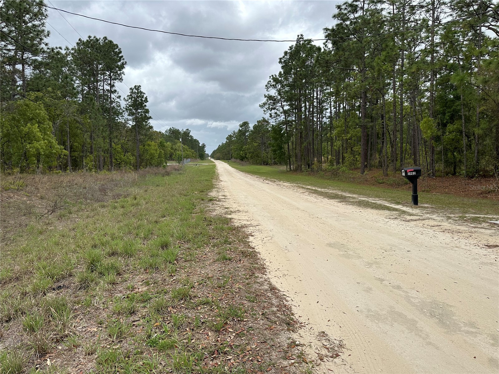 Sw 125th Court Rd Dunnellon FL 34432 OM722707 image4