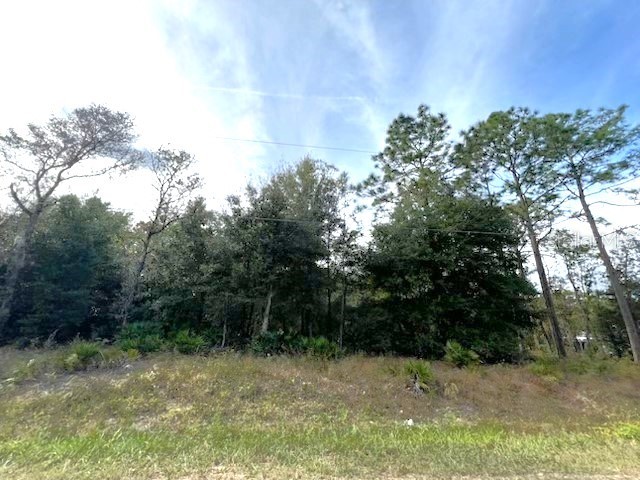 SW 125th Court Road Dunnellon FL 34432 O6262468 image1