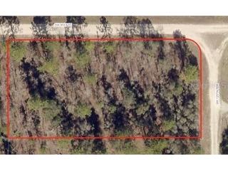 Sw 125th Terrace Dunnellon FL 34432 OM652022 image1