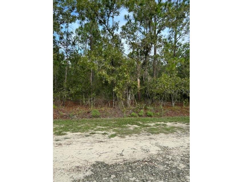 SW 125th Terrace Dunnellon FL 34432 OM663797 image1