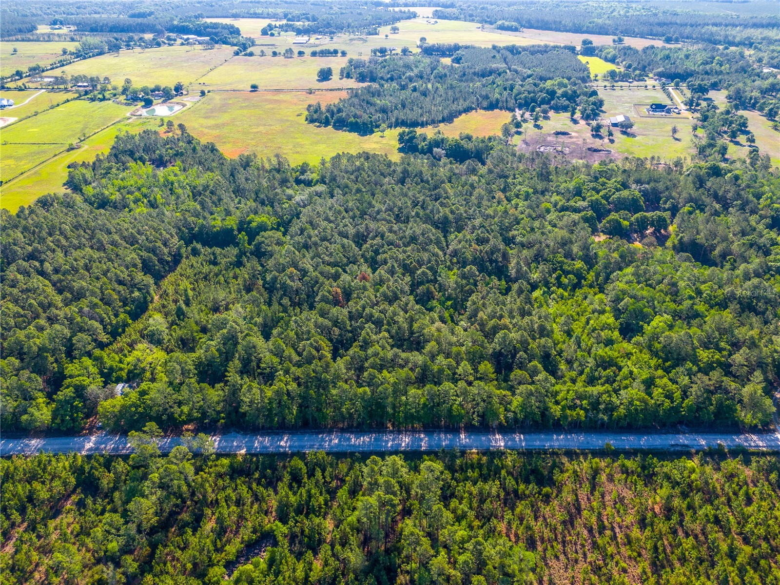 Sw 126th Avenue Lake Butler FL 32054 GC540187 image2