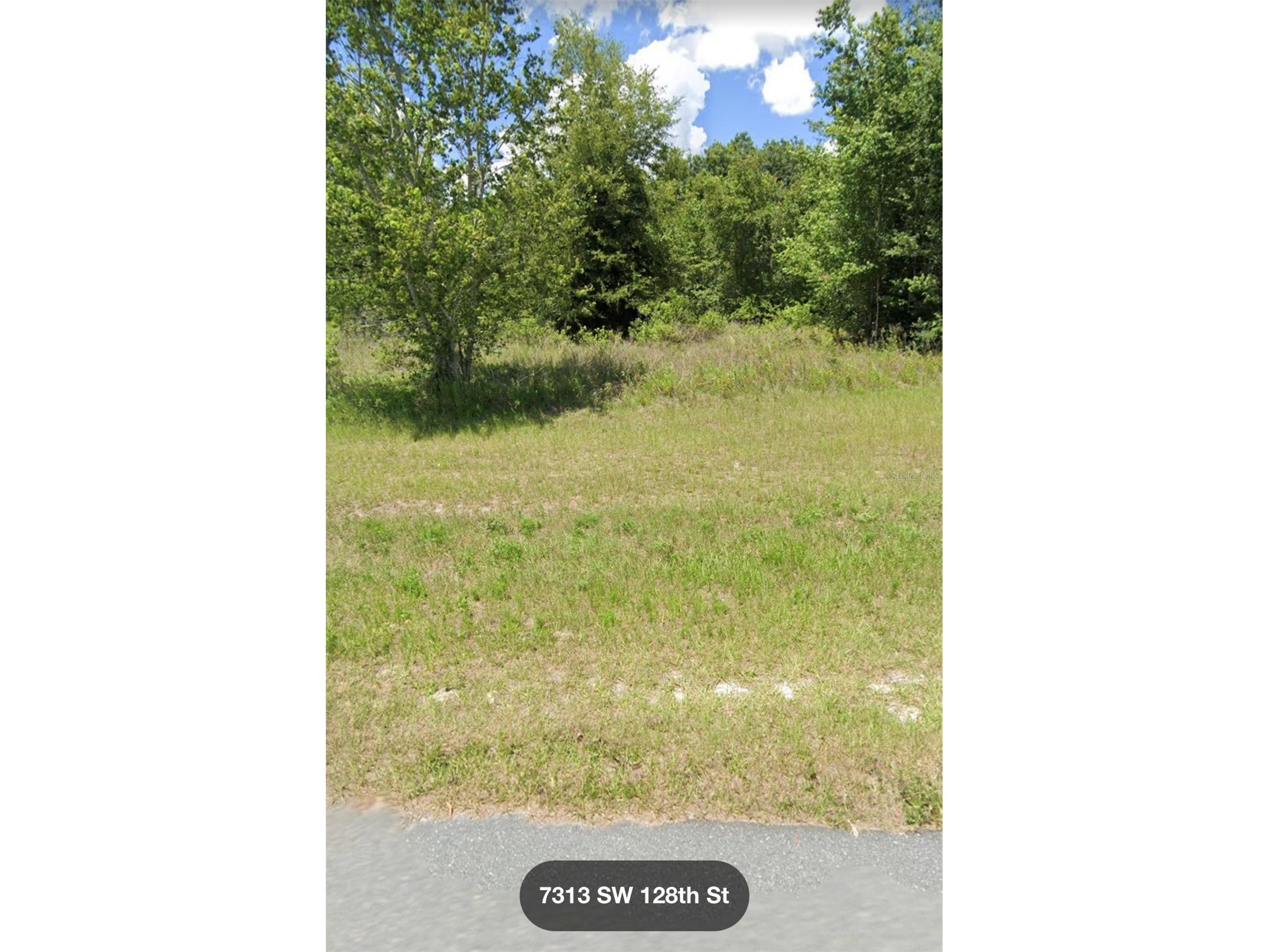 Sw 128 St Ocala FL 34473 OM719652 image1