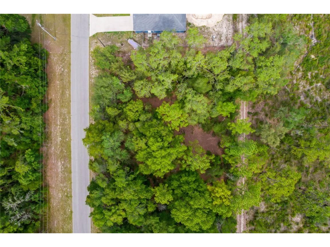 Sw 128th Loop Ocala FL 34473 G5069866 image1