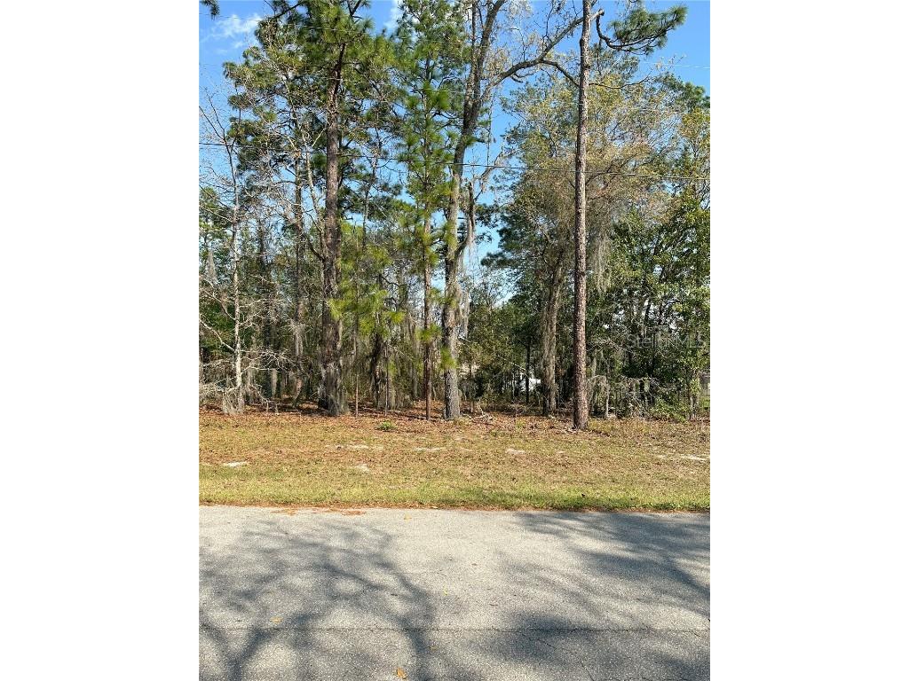 SW 128th Place Ocala FL 34473 OM654124 image1