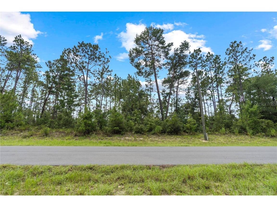 Sw 128th Place Ocala FL 34473 OM706112 image1