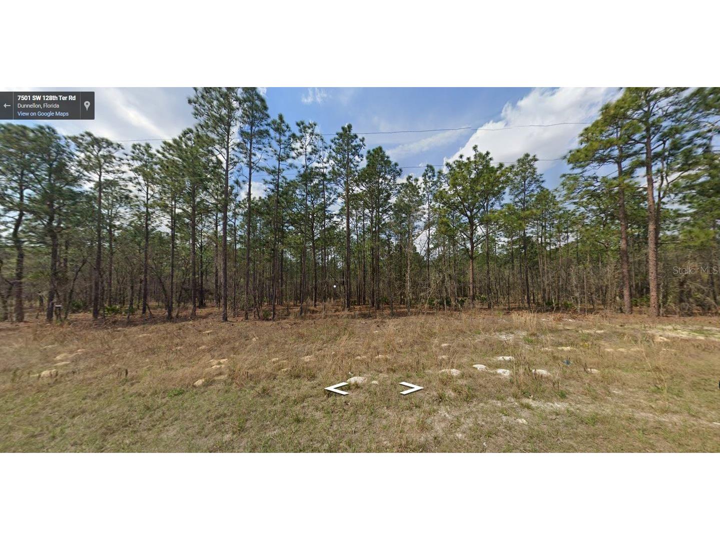 Sw 128th Terrace Rd Dunnellon FL 34432 O6232879 image1