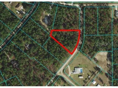 SW 128th Terrace Road Ocala FL 34481 OM668999 image1