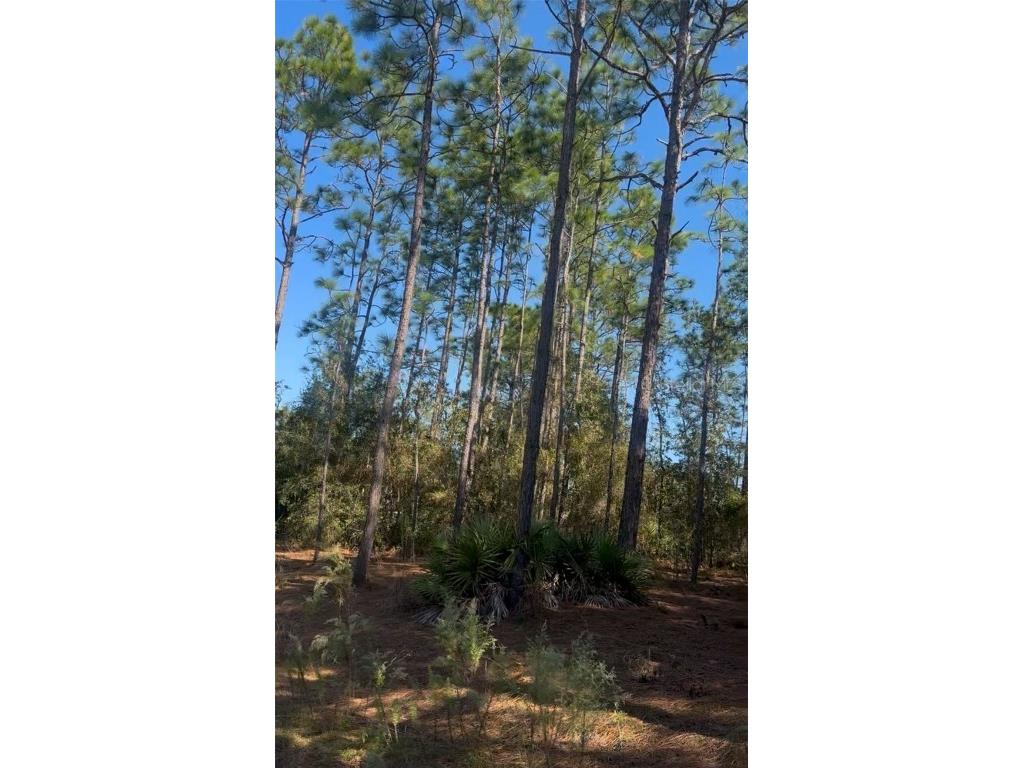 SW 128th Terrace Road Ocala FL 34481 O6357973 image1