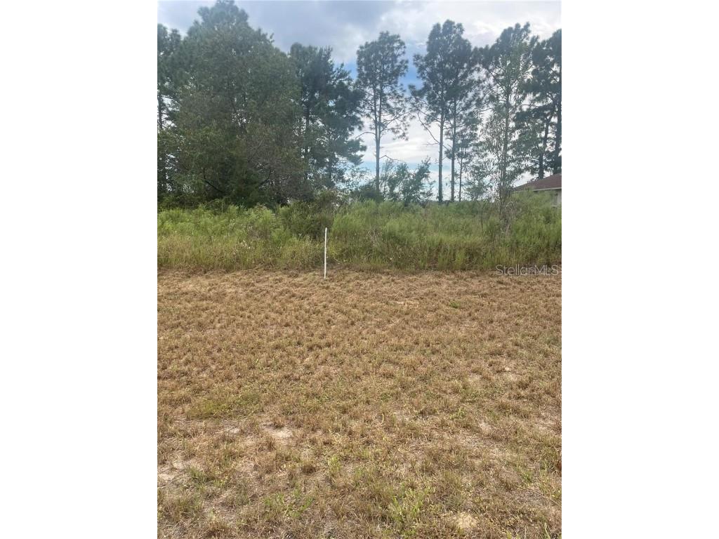 SW 129 Place Ocala FL 34473 OM674838 image1