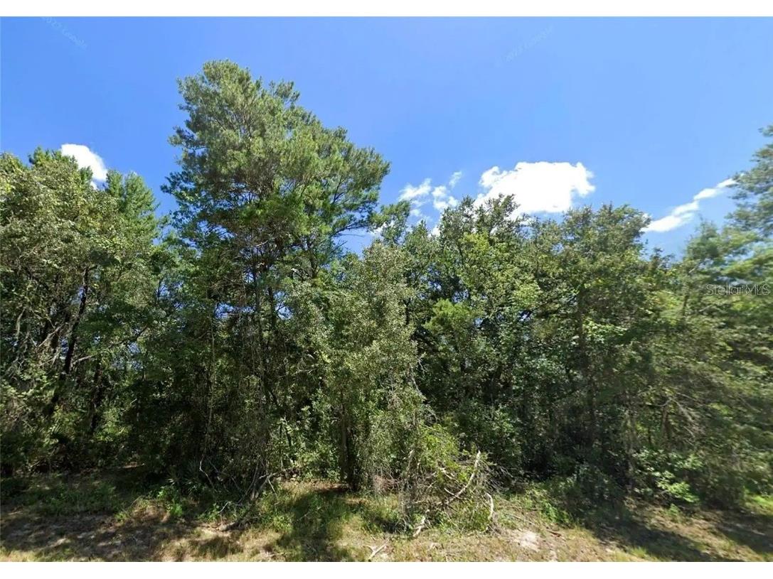 SW 129th Avenue Ocala FL 34473 OM672679 image1