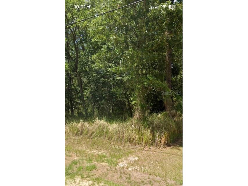 Sw 129th Pl Ocala Fl 34470 Ocala FL 34470 O6108642 image1