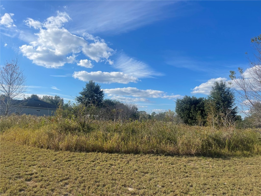 SW 129th Street Ocala FL 34473 S5094516 image1