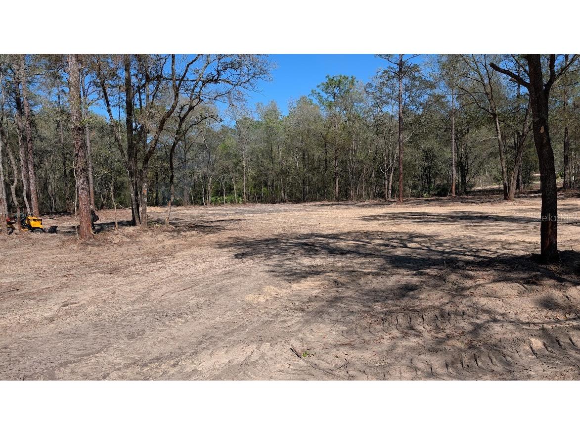 SW 129th Terrace Ocala FL 34481 OM721279 image1