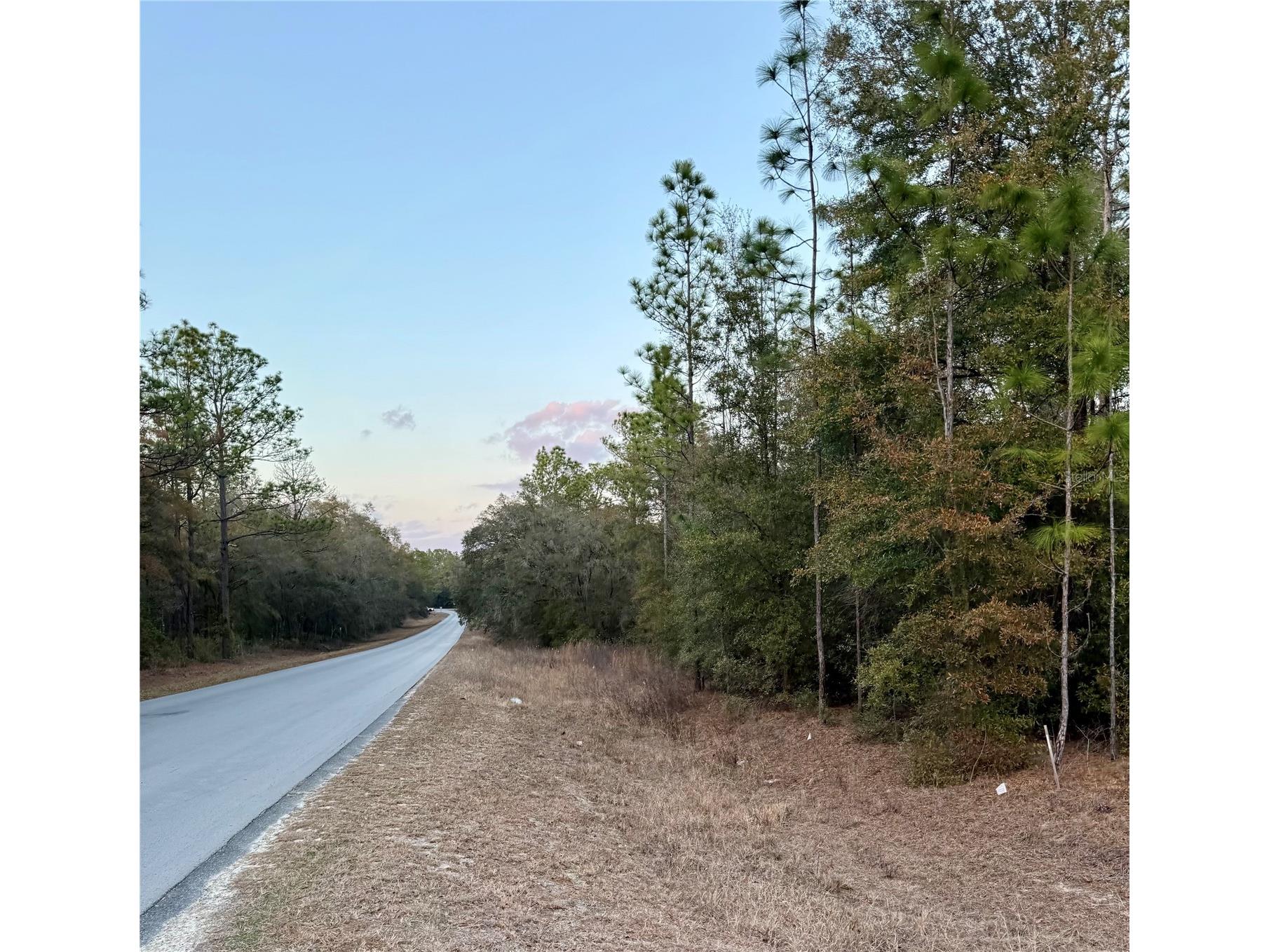 Sw 129th Terrace Road Ocala FL 34481 O6382328 image1