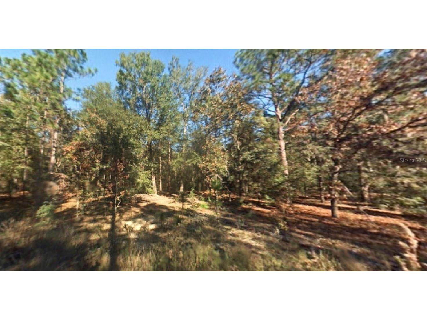 SW 12th Place Ocala FL 34481 O6093432 image1