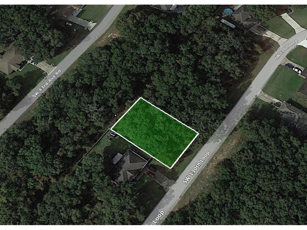 Sw 130th Loop Ocala FL 34473 O6086028 image1