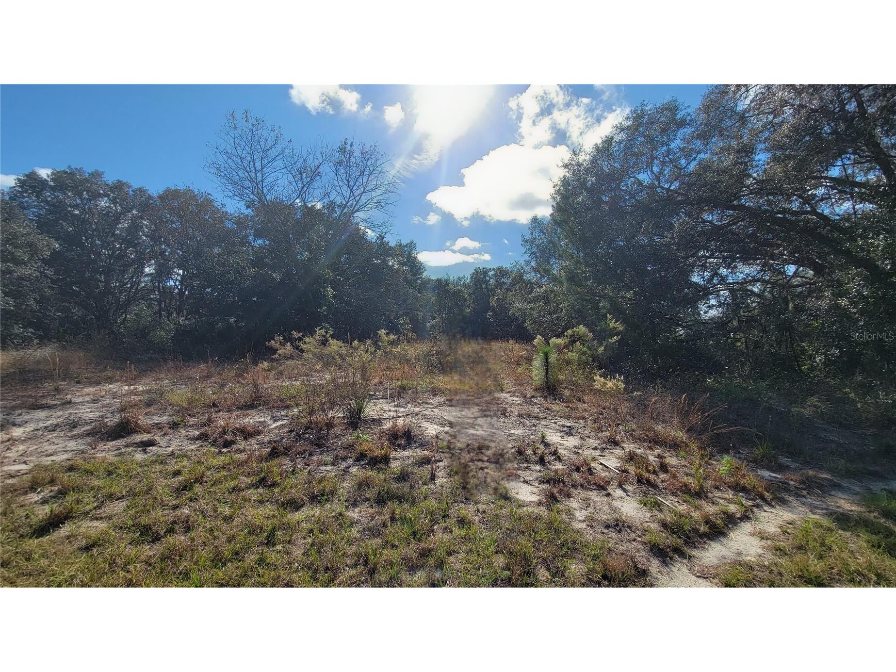 SW 131st Lane Ocala FL 34473 O6375754 image1