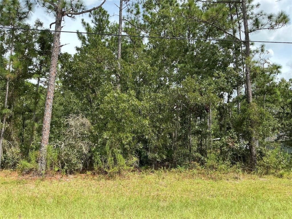 SW 131st Loop Ocala FL 34473 OM687184 image1