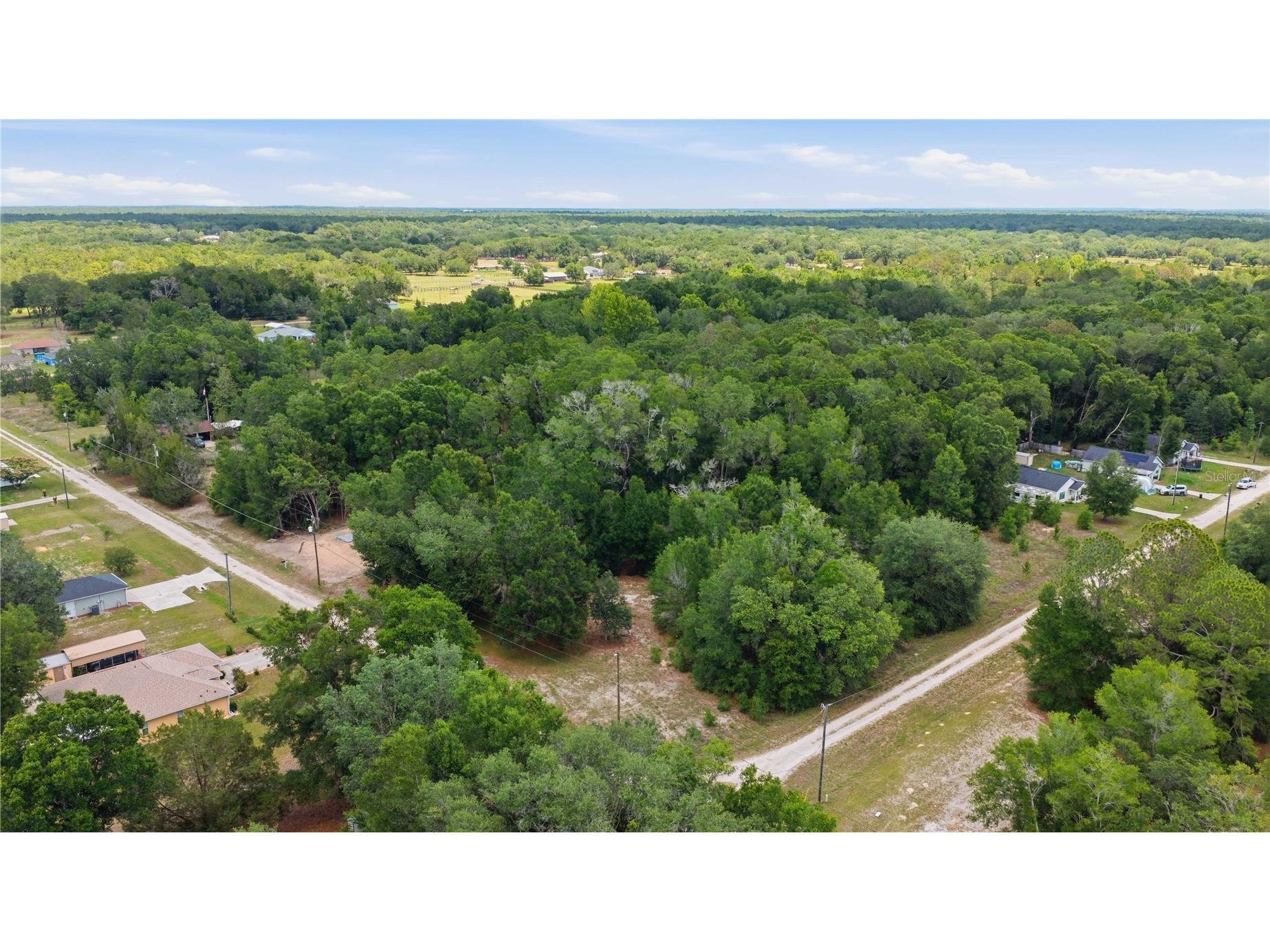 SW 131st Terrace Dunnellon FL 34432 OM725221 image2
