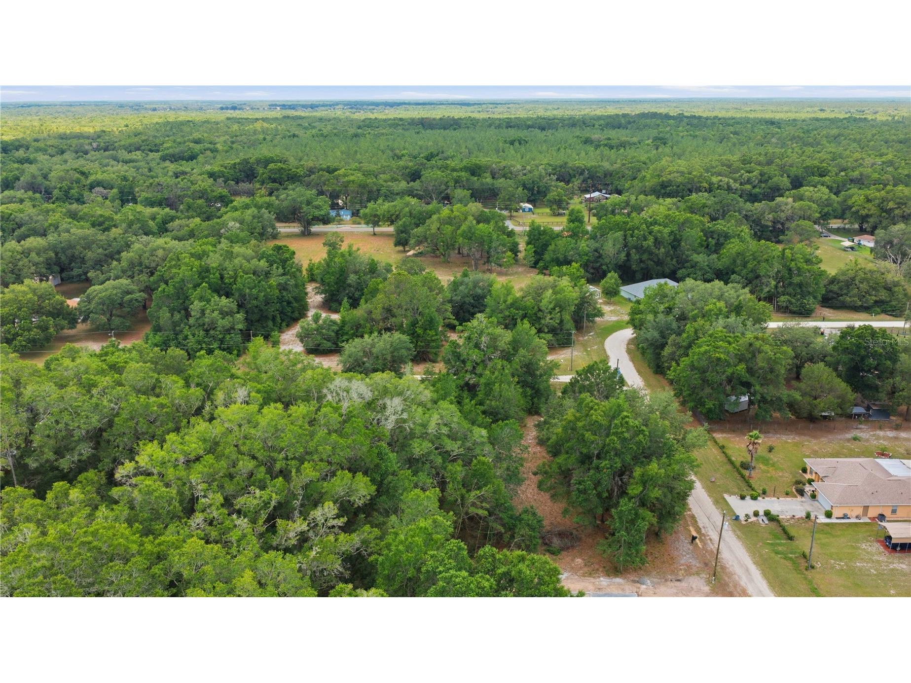 SW 131st Terrace Dunnellon FL 34432 OM725221 image7