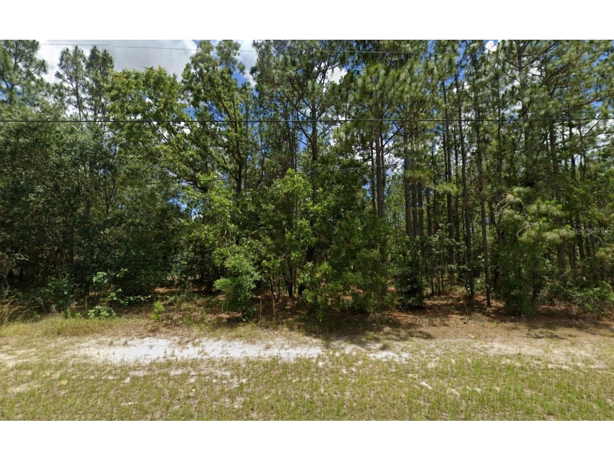 SW 132nd Street Ocala FL 34473 O6275938 image1