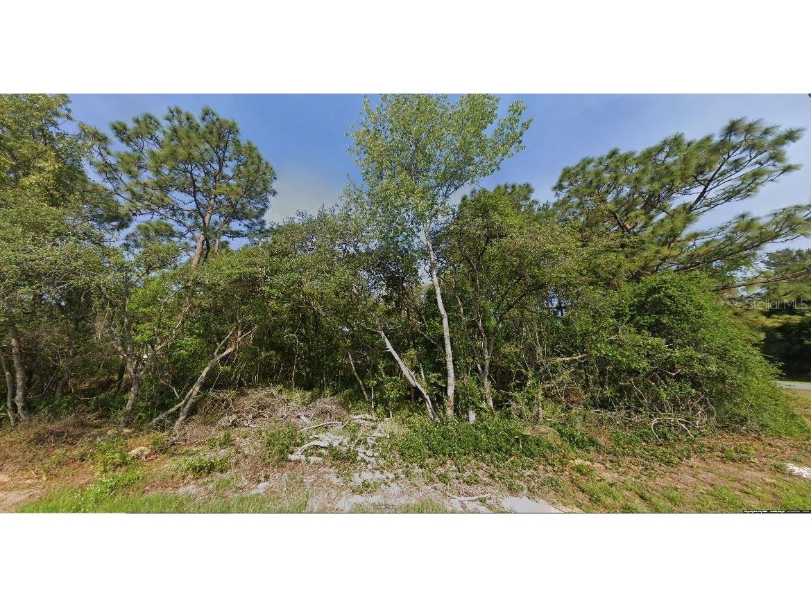 SW 133 Loop Ocala FL 34473 G5113001 image3