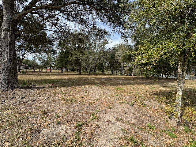 SW 133rd Ave Dunnellon FL 34432 OM672556 image1