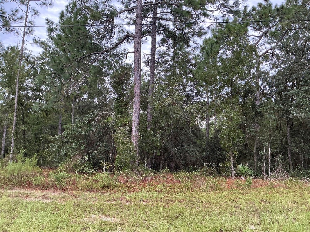 SW 133rd Street Road Ocala FL 34473 OM688371 image1