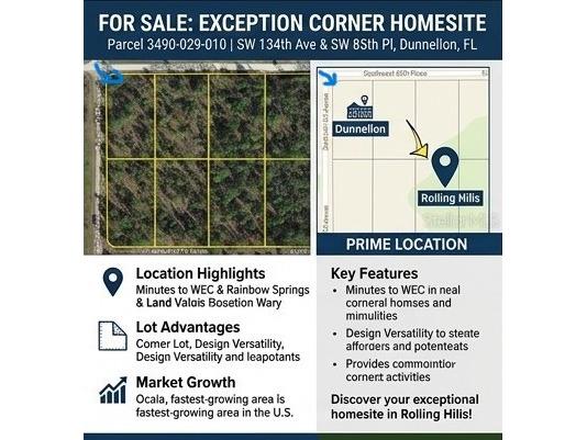 SW 134 Ave Dunnellon FL 34432 TB8486769 image1