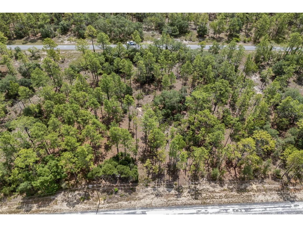 SW 134 Terrace Dunnellon FL 34431 GC531538 image10