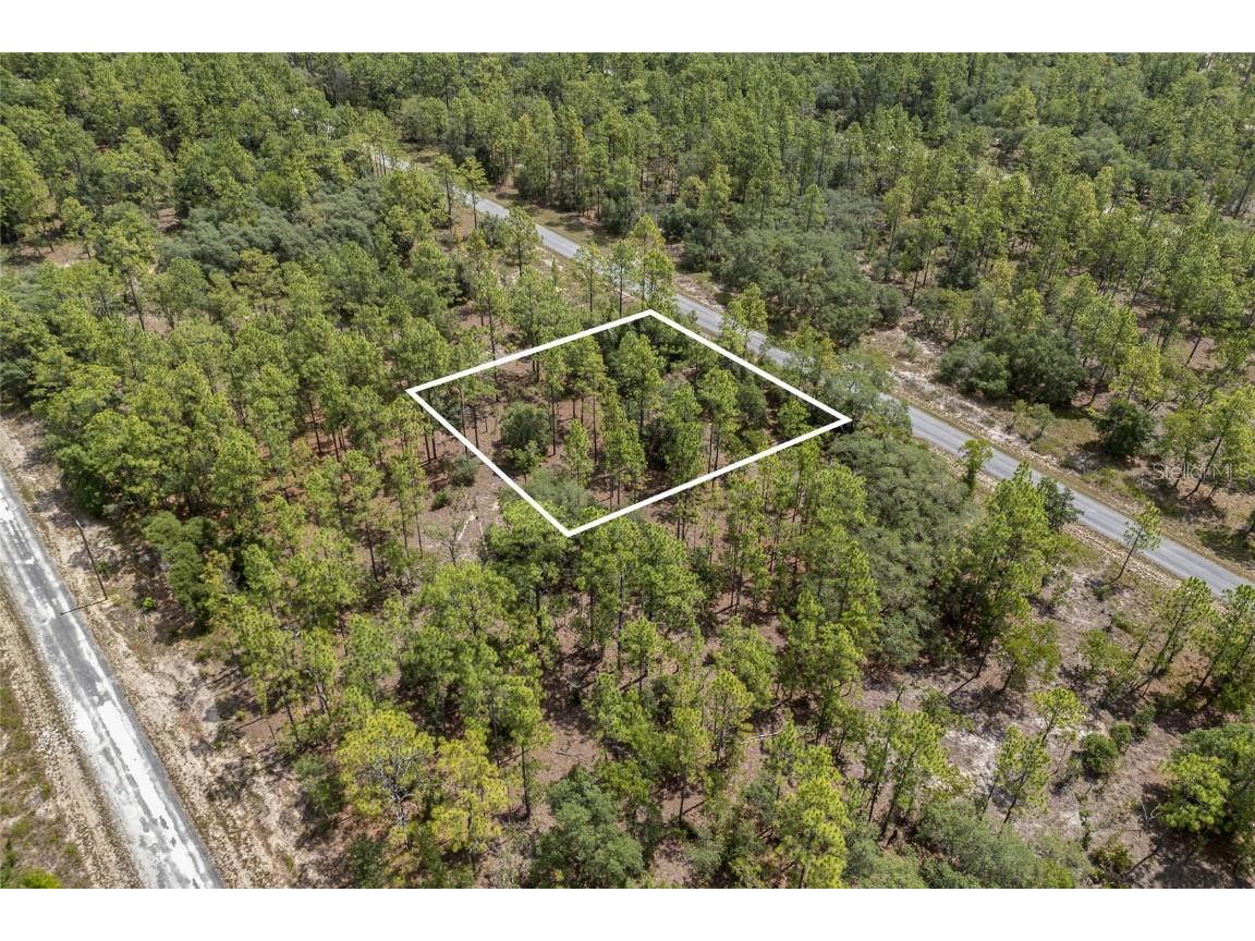 SW 134 Terrace Dunnellon FL 34431 GC531538 image11