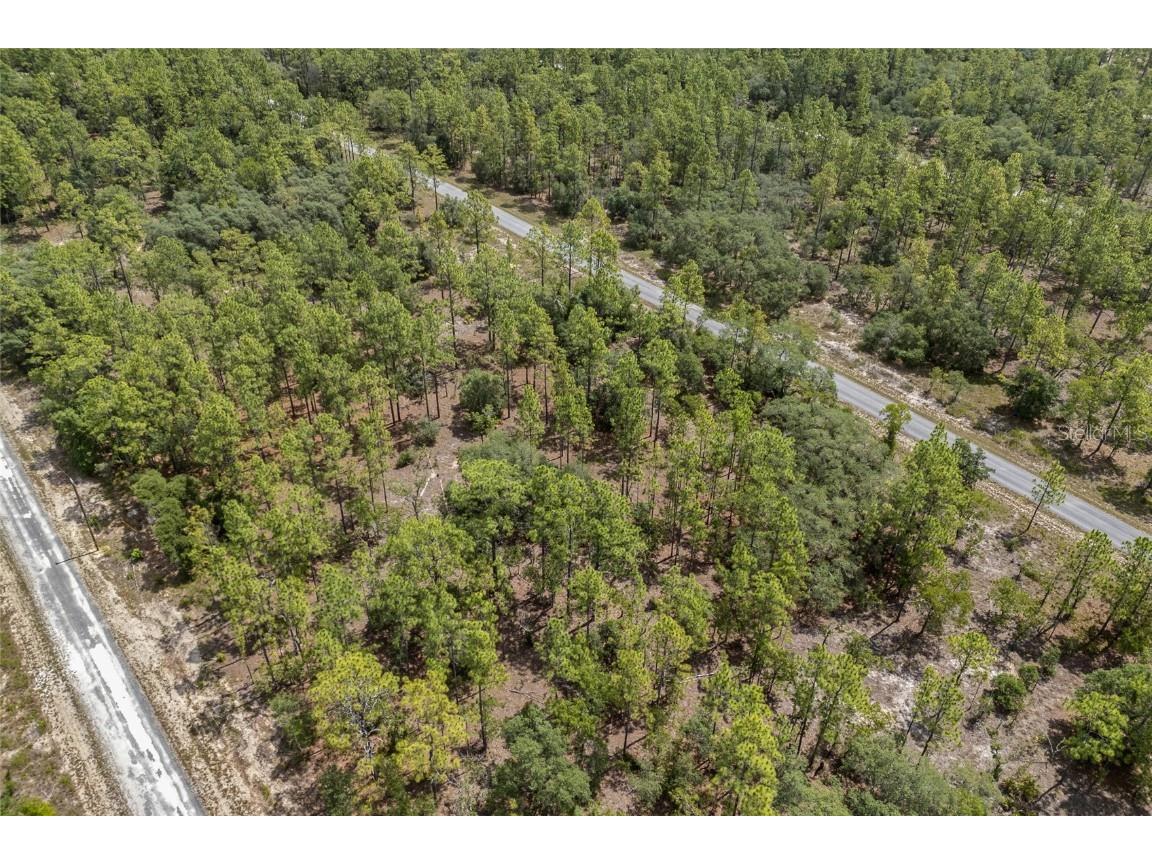 SW 134 Terrace Dunnellon FL 34431 GC531538 image12