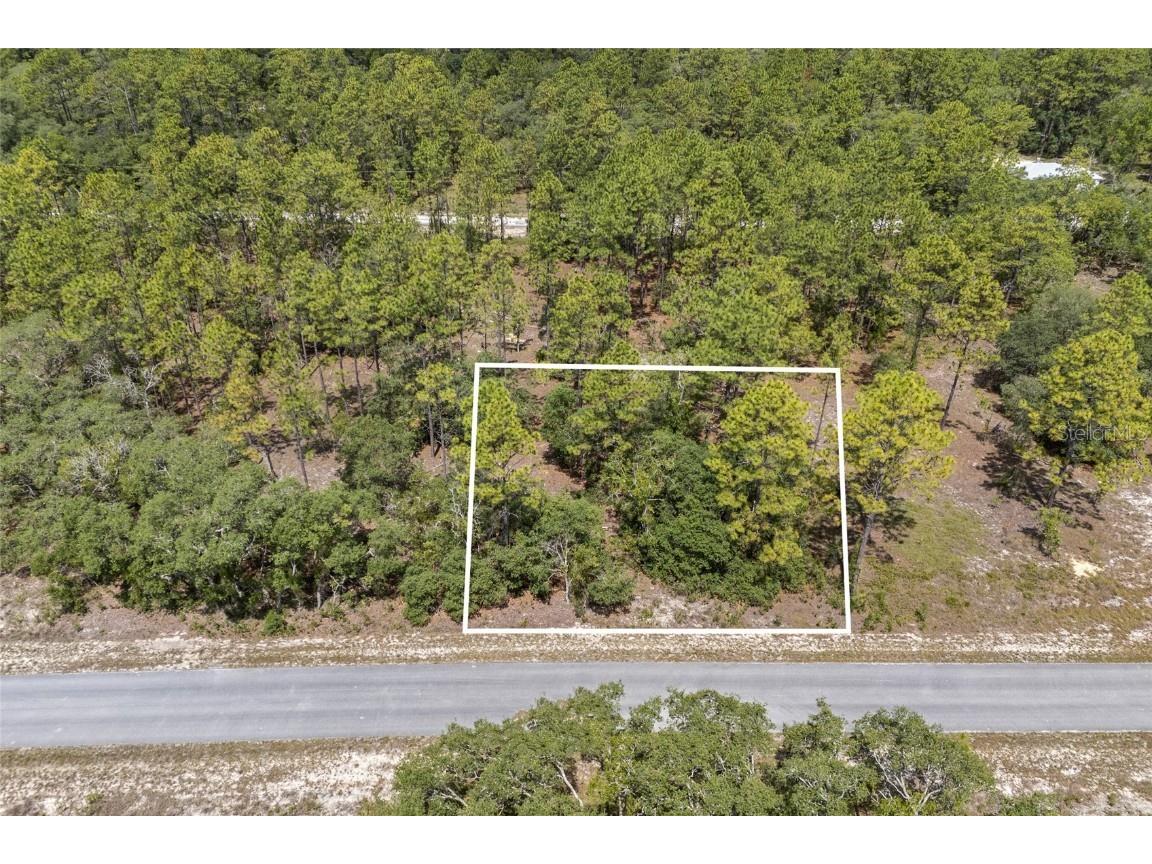 SW 134 Terrace Dunnellon FL 34431 GC531538 image2