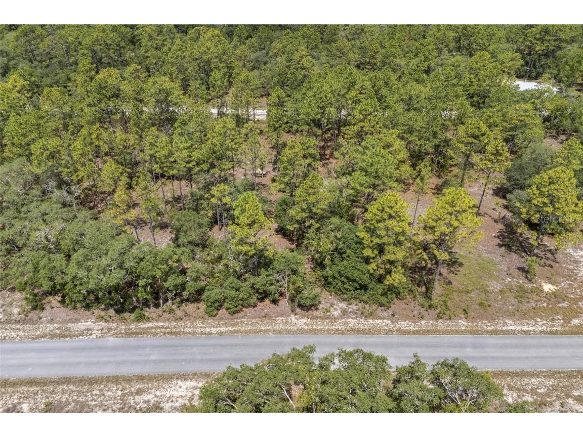 SW 134 Terrace Dunnellon FL 34431 GC531538 image3