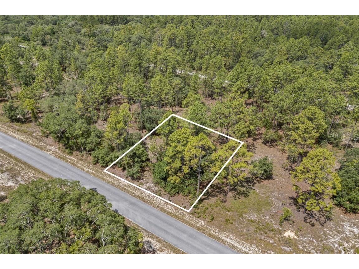 SW 134 Terrace Dunnellon FL 34431 GC531538 image4