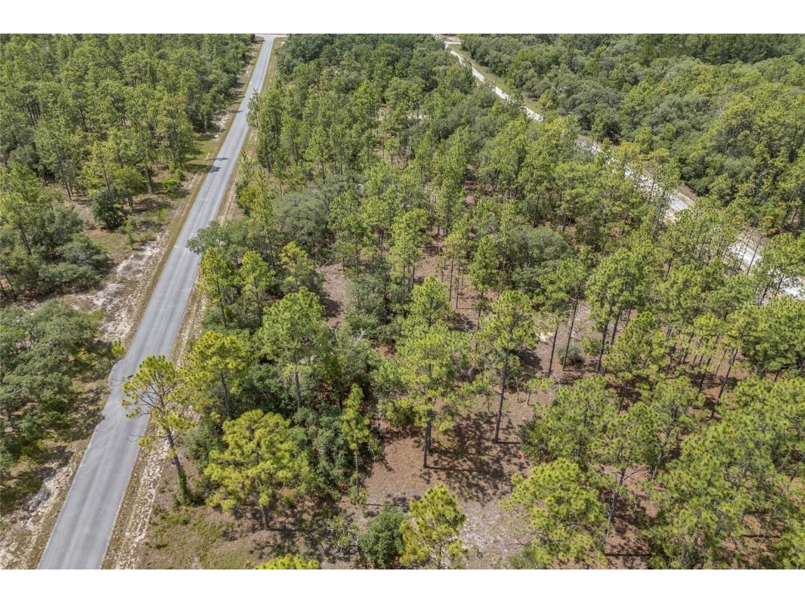 SW 134 Terrace Dunnellon FL 34431 GC531538 image6