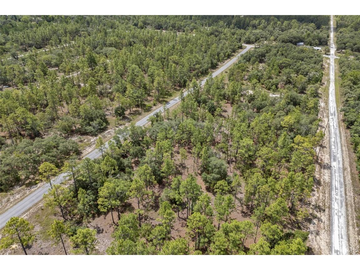 SW 134 Terrace Dunnellon FL 34431 GC531538 image8