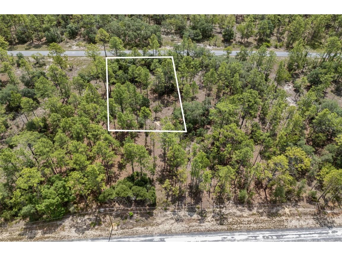 SW 134 Terrace Dunnellon FL 34431 GC531538 image9
