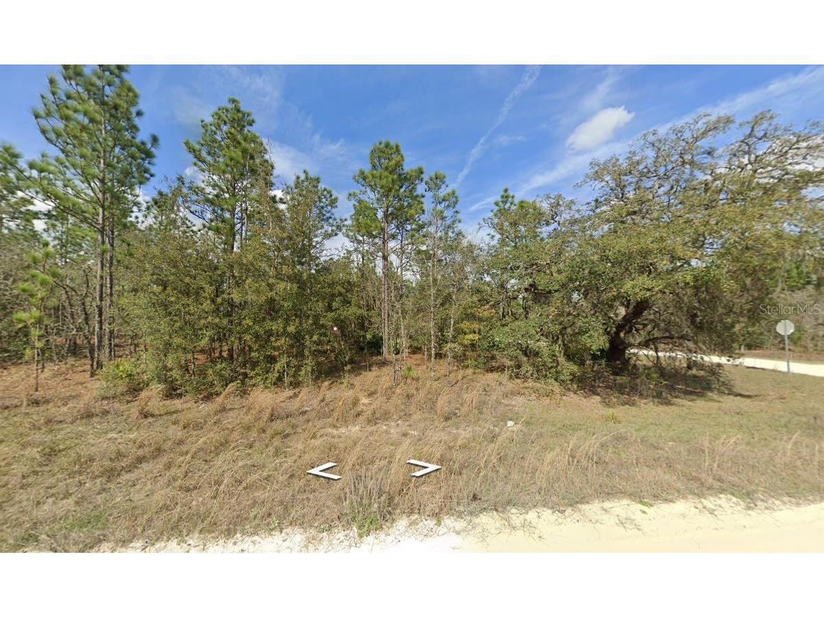 Sw 134th Ave Dunnellon FL 34432 O6195961 image1