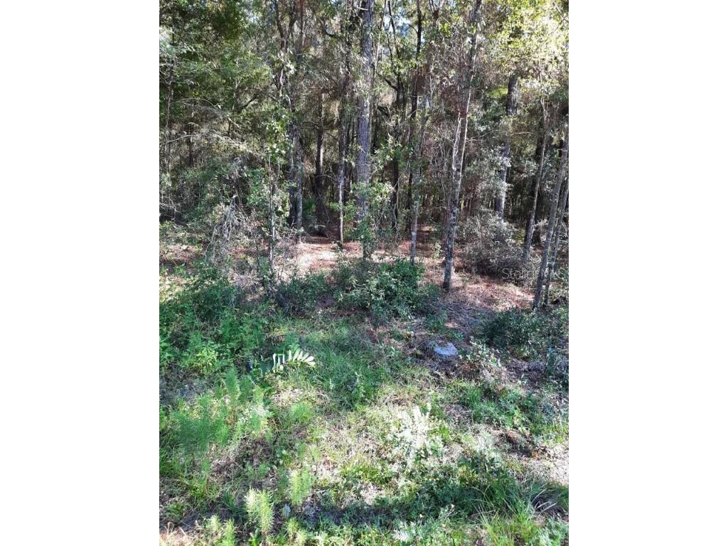 SW 134th Avenue #2 Dunnellon FL 34432 OM628930 image1