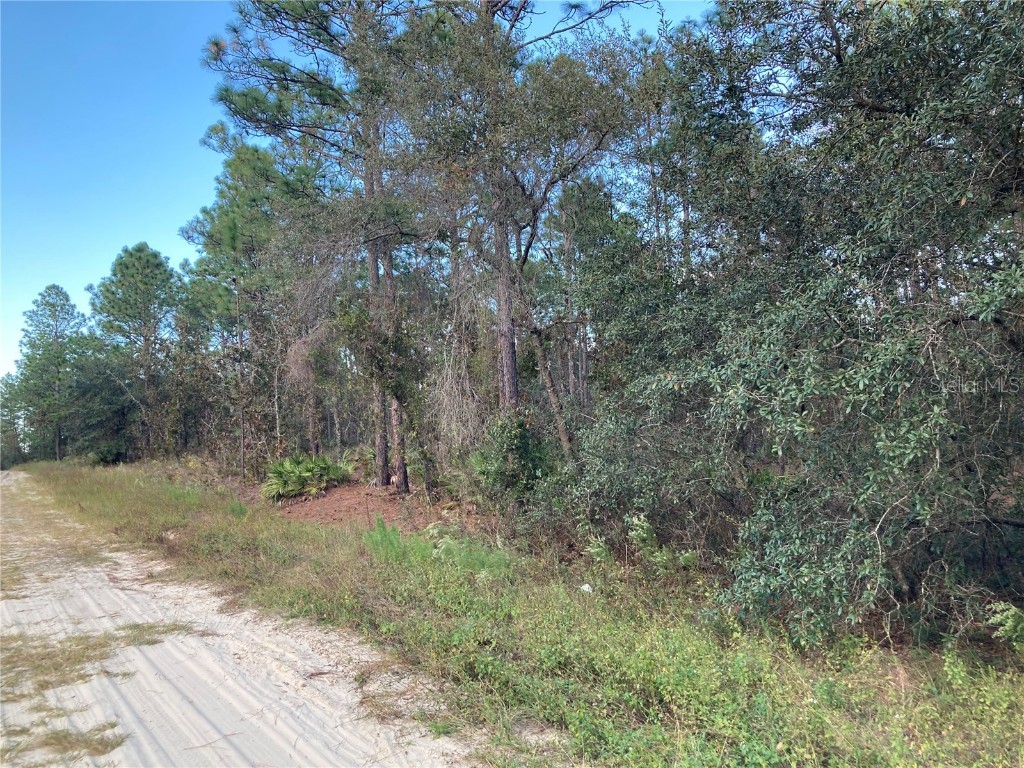 SW 134th Avenue Dunnellon FL 34432 OM667075 image1