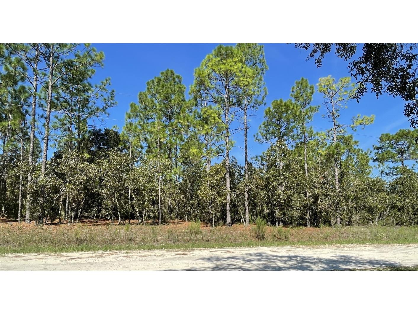 Sw 134th Avenue Dunnellon FL 34431 OM645641 image1