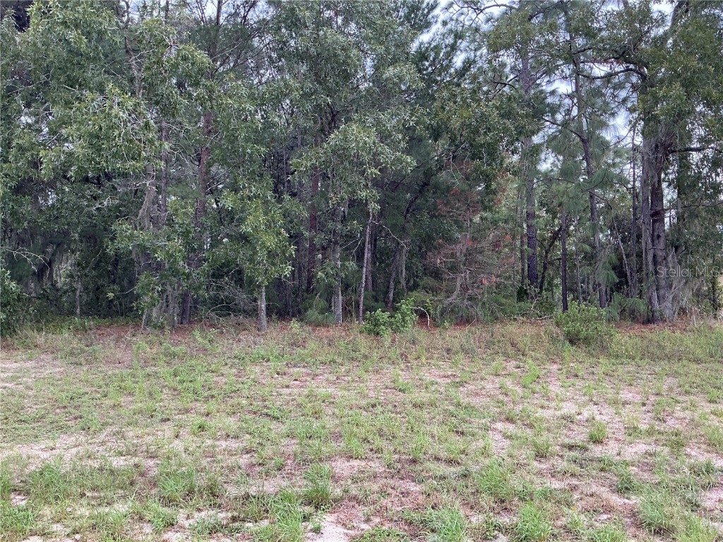 SW 134th Street Ocala FL 34473 OM689183 image1