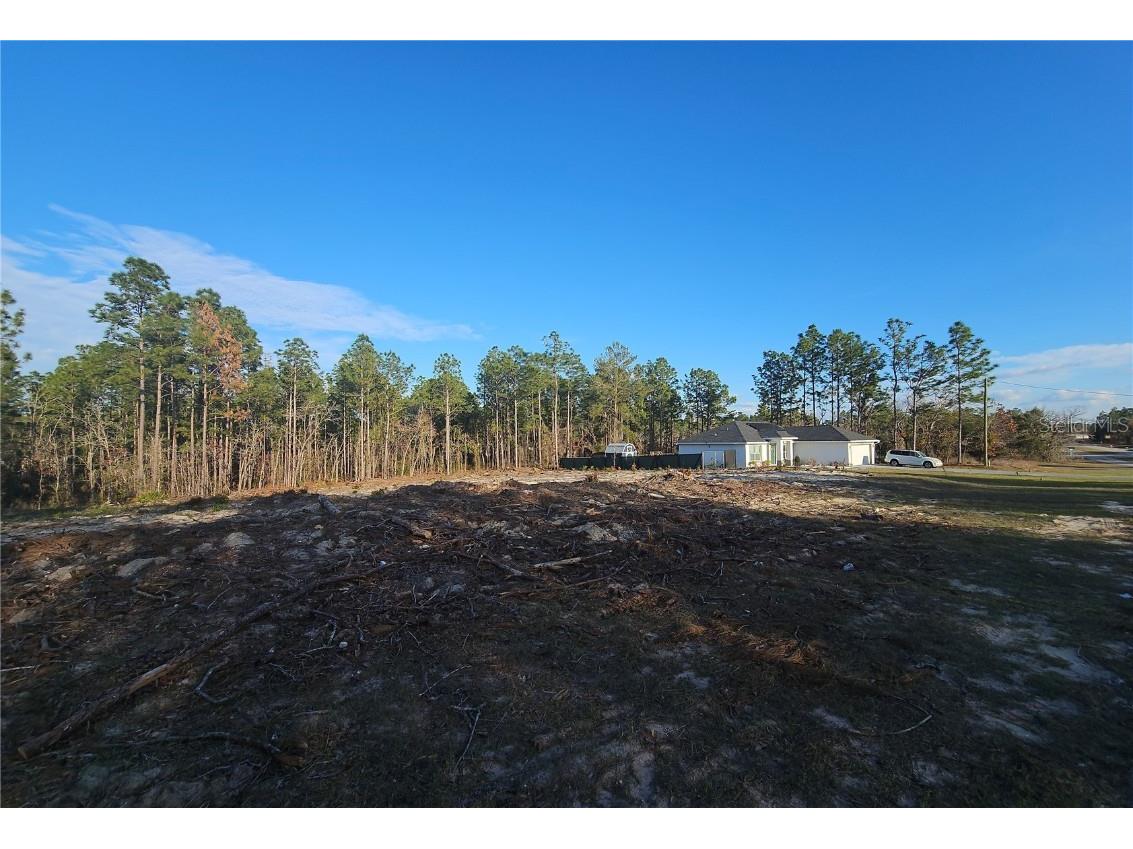 SW 135 Avenue Road Ocala FL 34473 G5092662 image5