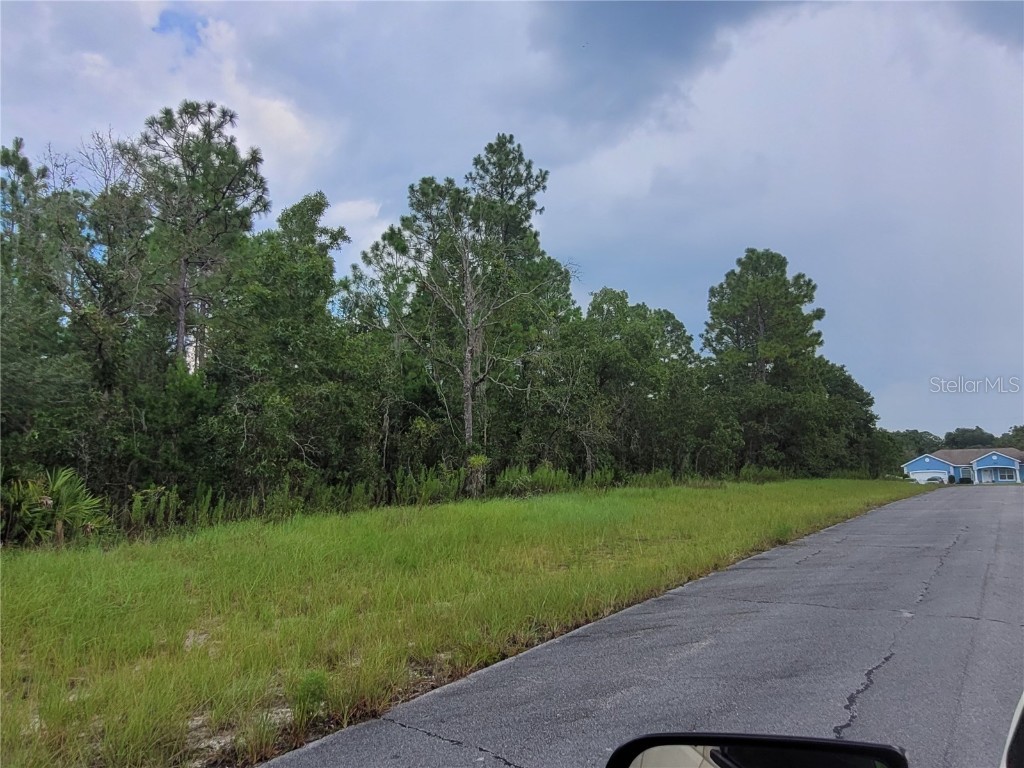 SW 135 Street Ocala FL 34473 A4672151 image3